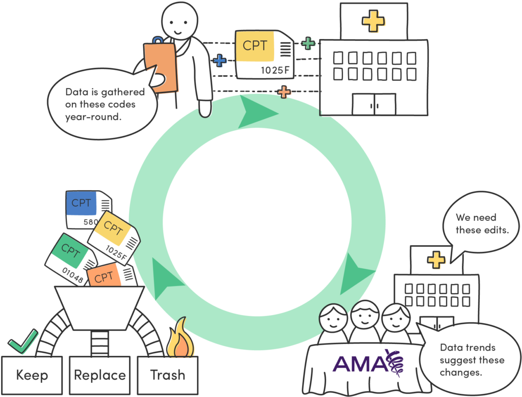 What Are CPT Codes? Avelead